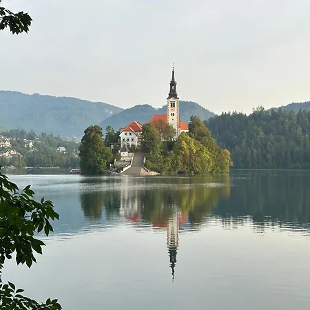 Alojamento de Acomodação e Pequeno-almoço Old Parish House