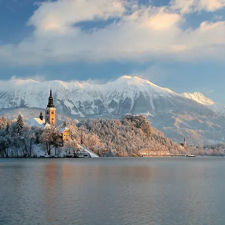 Oda ve Kahvaltı Old Parish House Bled
