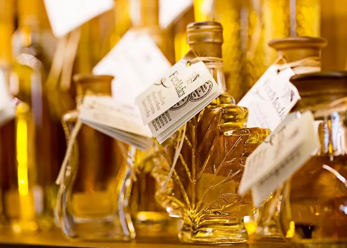 Old Parish House Nočitev z zajtrkom